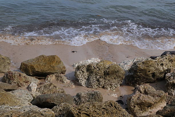 istock large rock texture of the beach breakwater 2232612632