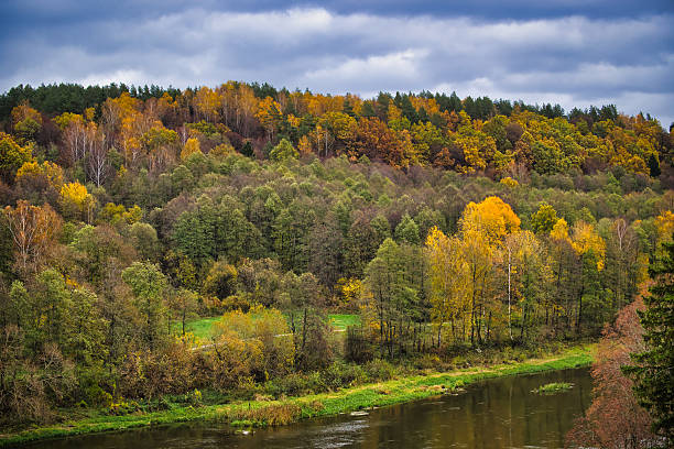 A picturesque view of a lush forest during autumn, showcasing vibrant foliage in various hues. The tranquil river adds serenity to the vibrant landscape under cloudy skies
