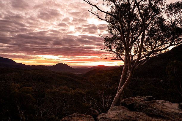 istock A vivid sunset glows in the western sky behind a dramatic escarpment, with a white gum tree silhouetted in the foreground 2232622833
