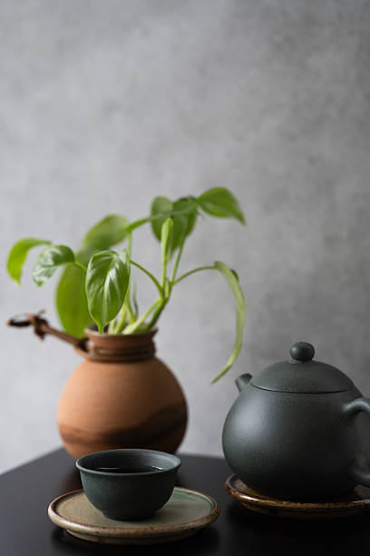 Asian tea set and mini philodendron in a brown earthenware pot with dark grey grunge wall background