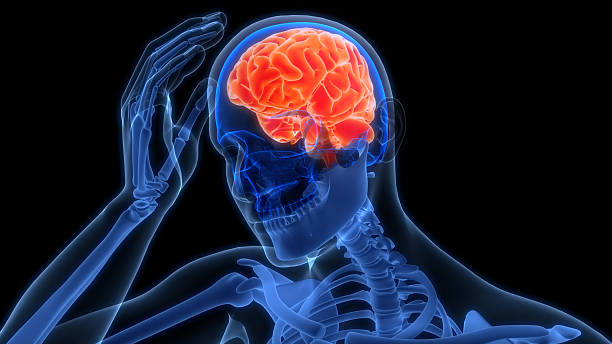 istock Human Suffering with Severe Headache Anatomy 2232627712