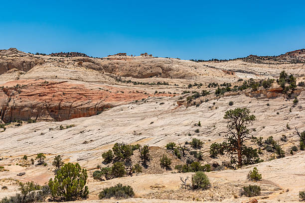 istock Head of the Rocks Overlook, Utah, USA 2232630647