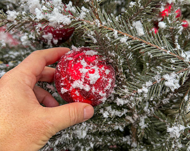istock A hand is reaching for a red ornament on a tree 2232631731