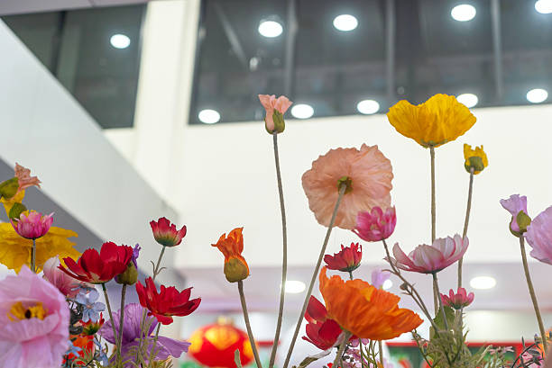 Colorful Flowers in Indoor Setting Display
