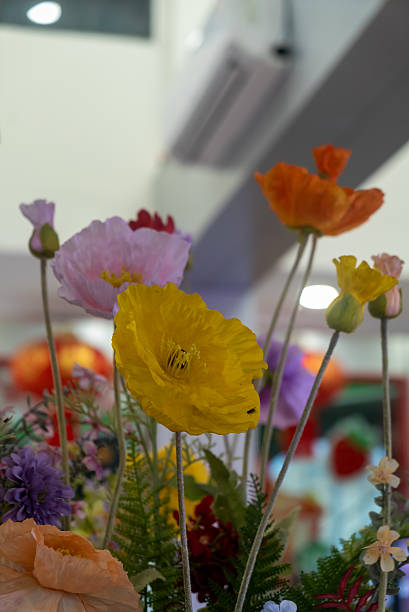 istock Colorful Poppies Blooming in Bright Space 2232632522
