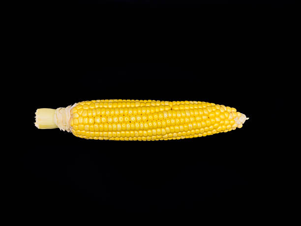 istock A yellow corn stalk with a green stem, white background, copy space, flay lay, top view 2232633791