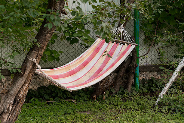 A cheerful pink and white striped hammock is strung between two trees in a vibrant backyard garden offering a tranquil summer lounging experience
