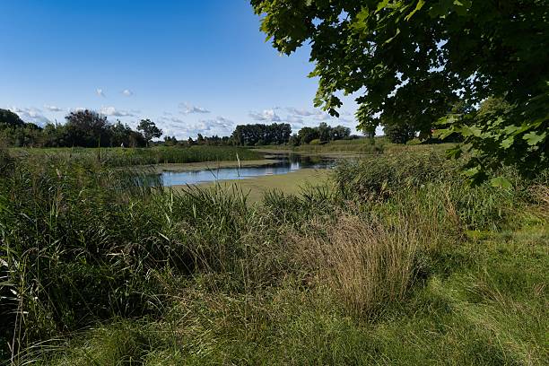istock Serene riverside landscape with lush greenery and tranquil water in rural setting on a sunny day 2232637330