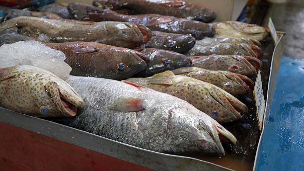 istock Assorted Fresh Fish on Ice at Wet Market Stall 2232641391