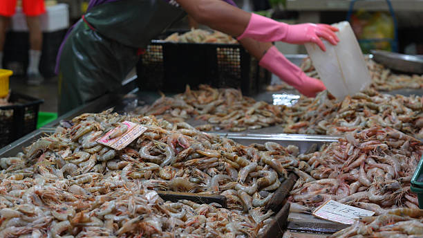 Large quantity of fresh shrimp displayed for sale at a wet market seafood stall.