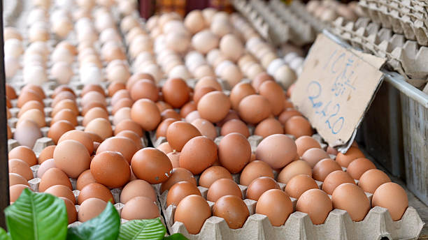 istock Fresh Brown and White Eggs in Cardboard Trays 2232641435