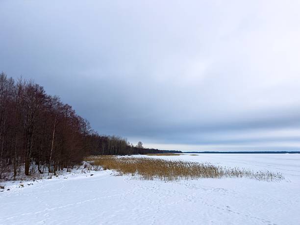istock Frozen Lake Shoreline with Winter Forest and Overcast Sky 2232645693