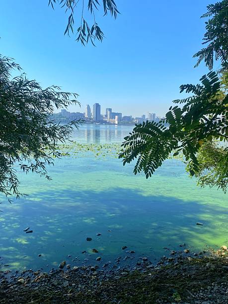 istock City Skyline Reflected in the River with Green Algae 2232646023