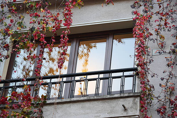 Colorful leaves cascade around a balcony reflecting warm sunlight.