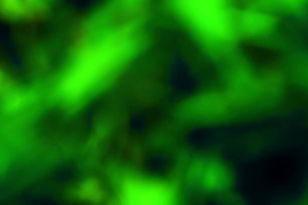 istock Green neon color texture background that resembles a complex aurora glowing in the night sky. 2232660163