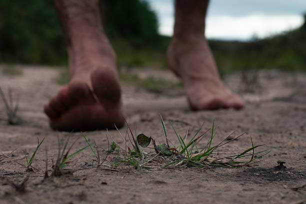 istock Walking barefoot on a sandy path surrounded by greenery at twilight, connecting with nature 2232662998