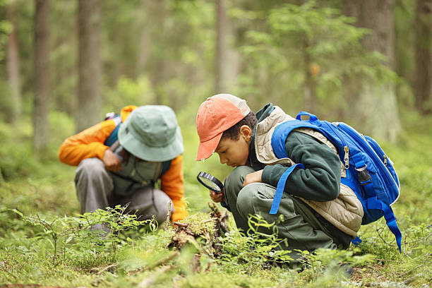 istock Two Children Exploring Forest Floor with Magnifying Glass during Nature Walk 2232663035