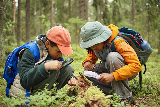 istock Two Children Exploring Forest Floor with Magnifying Glasses 2232663039