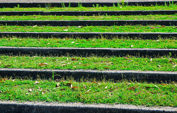 istock Stairway pattern with green grass in close up. 2232663442