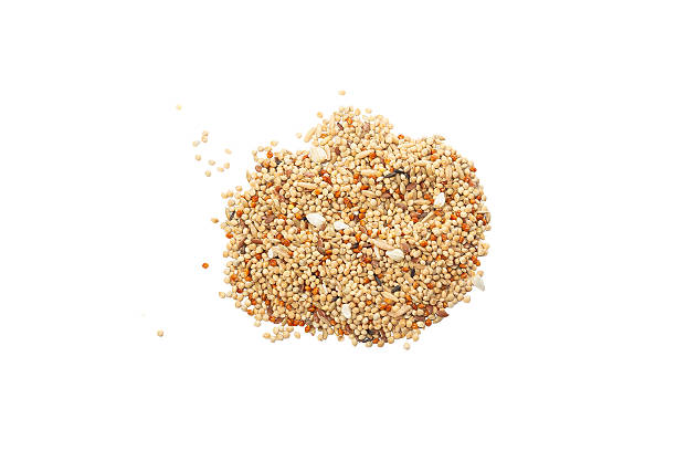 istock Mixed grains of various cereals scattered on a white background 2232665168