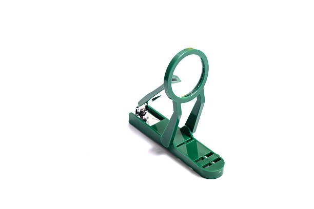 istock steel make-up wire cutter for manicure and pedicure 2232672136