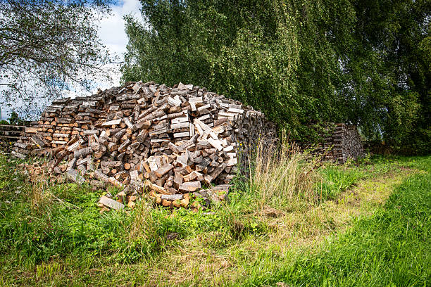 Stack of chopped firewood stored outdoors in countryside near forest edge.