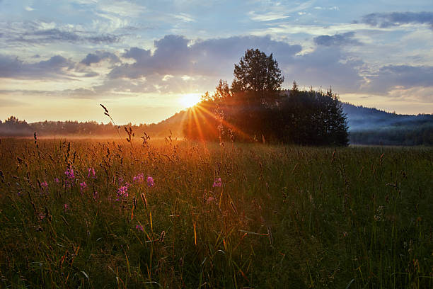 istock Soft sunlight spills over a peaceful meadow adorned with wildflowers, casting a warm glow as dawn breaks over the distant trees and hills during early morning 2232676293
