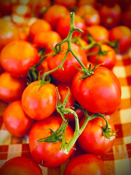 A close-up image of vibrant red tomatoes on the vine for sale and on display at a local farmers market.