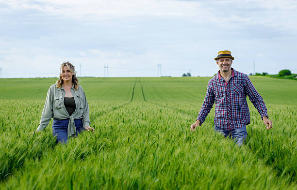 istock Two farmers standing in wheat field examining crop yield.. 2232680476