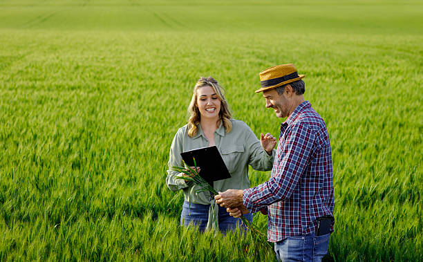 Two farmers standing in wheat field examining crop yield..