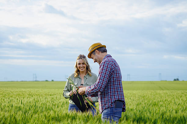 istock Two farmers standing in wheat field examining crop yield. 2232680498
