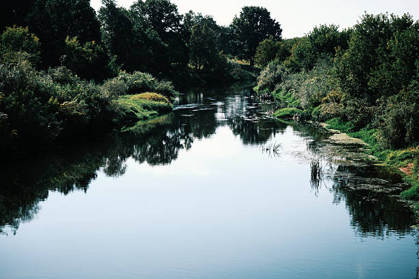 Small quiet rural river in sunny summer day