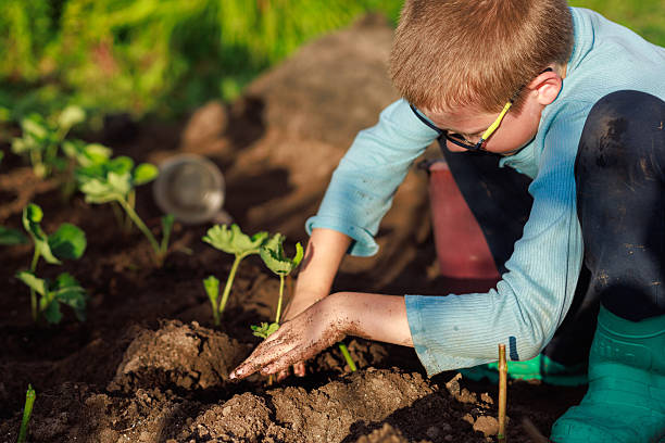 Boy planting strawberry seedling in soil, concept of ecology, sustainability and protecting the environment. Copy space.