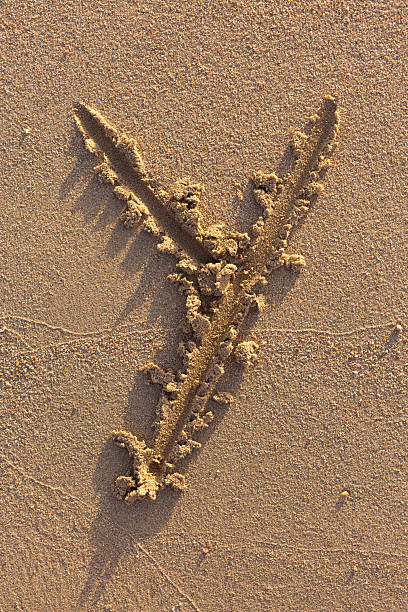 Exclamation Mark on the Sand