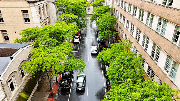istock Vibrant Green Canopies 2232701991