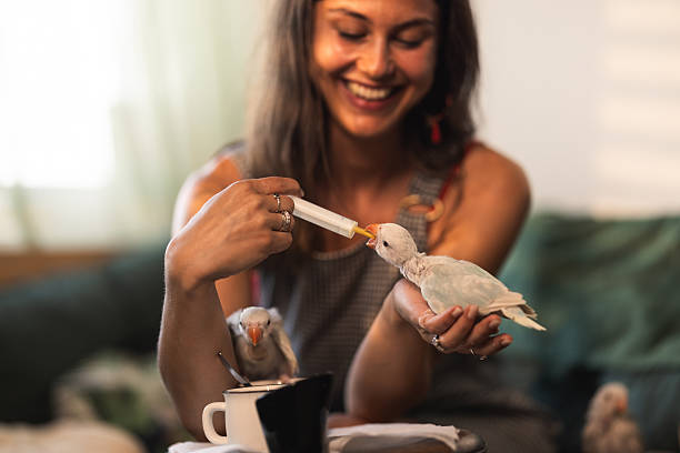 istock Cheerful Woman Feed Parrots 2232706188