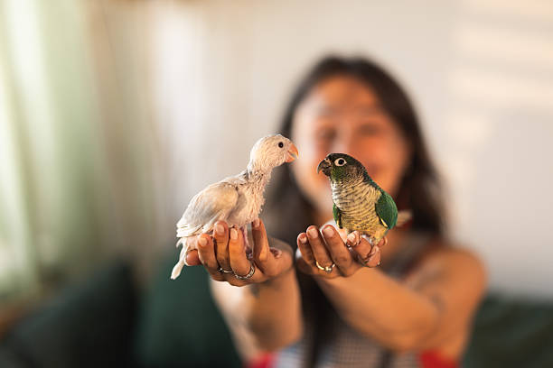 istock Happy Woman With Birds 2232706381