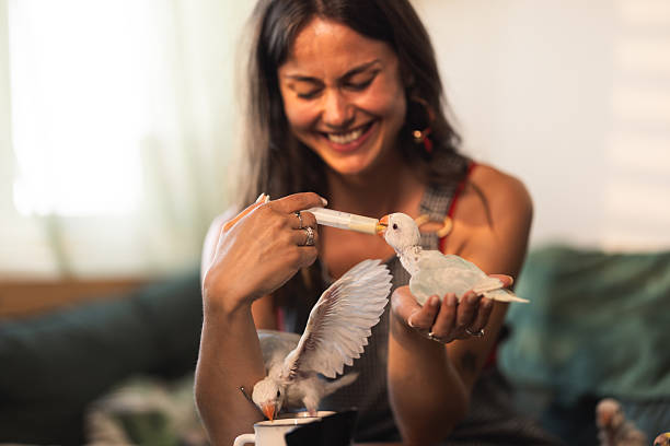 istock Woman Feeding Parrots 2232706638