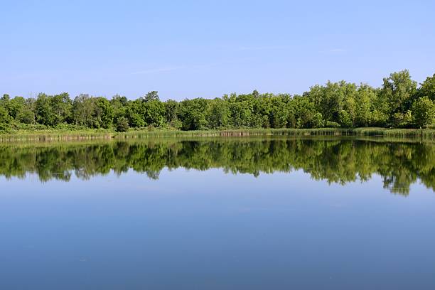 istock Quiet lake in the Country 2232710948