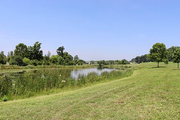 istock Pond in the Country 2232713216