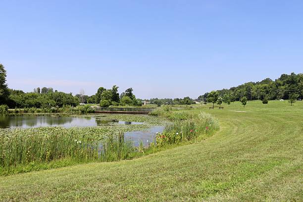 istock Quiet Pond in the Park 2232714444