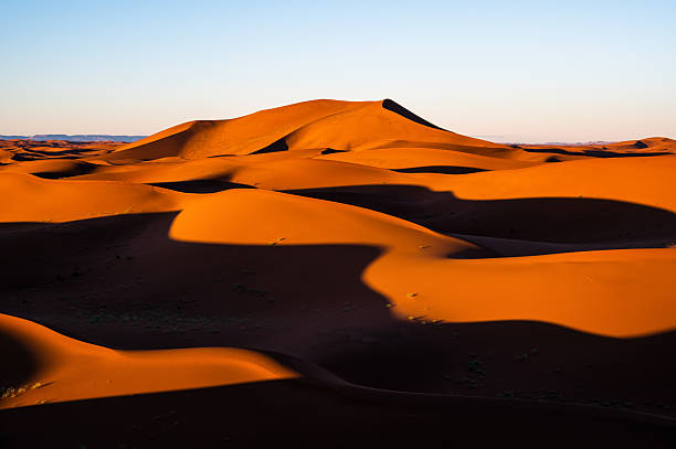 istock Early Morning Sahara View 2232716210