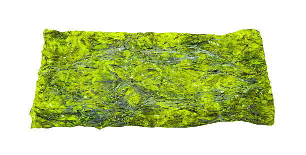 istock dried green nori leaf, isolated on white background with clipping path 2232716524