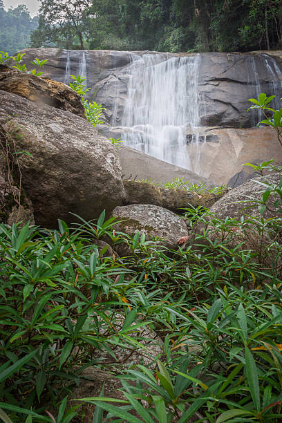 istock Beautiful multi-tiered waterfall cascading over large boulders and rocks surrounded by lush green tropical jungle foliage. 2232717435