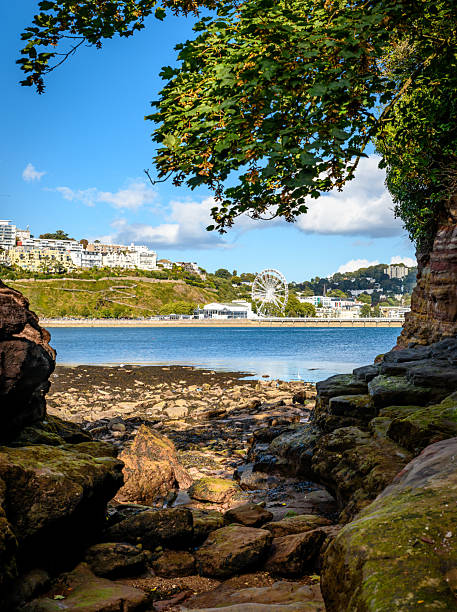istock Torquay view through rocky coastline of Devon 2232733635