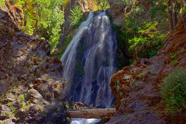 Long exposure of water falling from a steep drop on Summit Creek in the Gifford Pinchot National Forest.