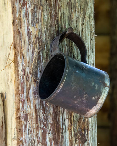 An old tin cup hanging on a wooden post