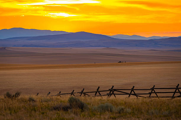 Buffalo Paddock Picnic Area in Yellowstone National Park at Park County, Wyoming