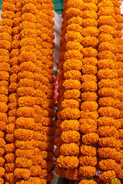 istock Fresh marigold flower strings for festival decoration. 2232738275