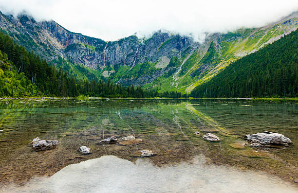 A scenic view captures the beautiful and tranquil Avalanche Lake within Glacier National Park